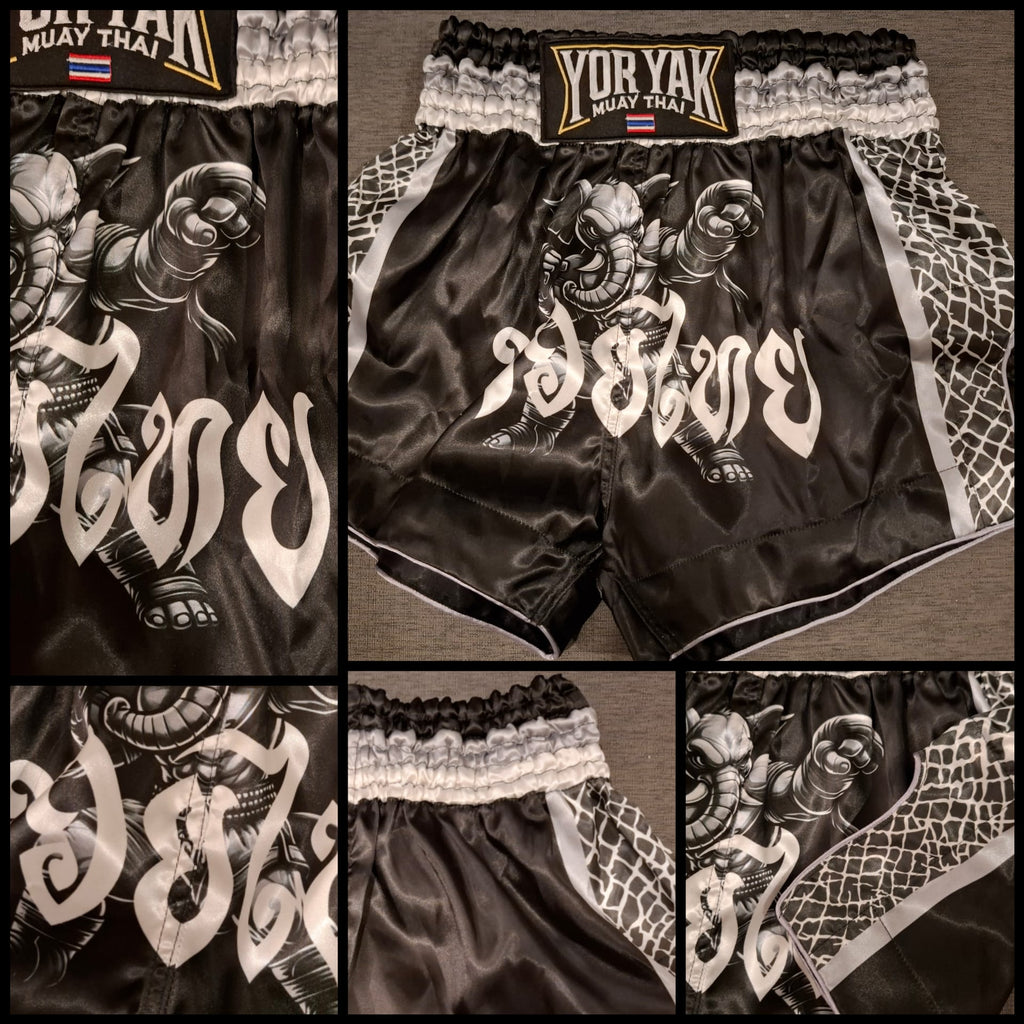 Muay Thai Shorts Limited Edition - Chang